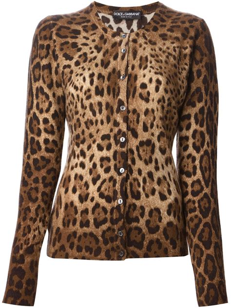 Dolce & Gabbana leopard.